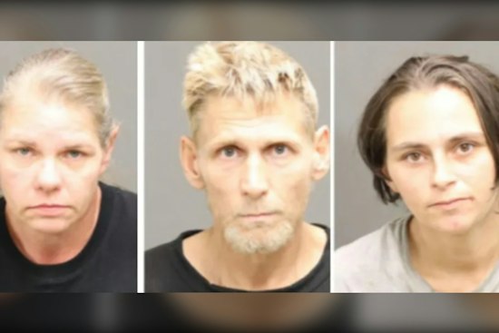 Flint Trio Hired to Clean Bloomfield Township Home Busted Stealing, Police Say