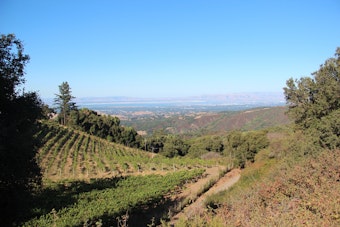 Fogarty Family's 41-Acre Portola Valley Vineyard Estate Sells for $11M