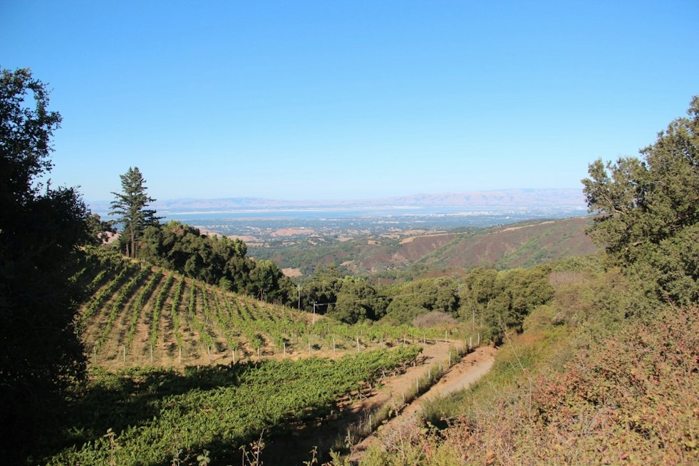 Fogarty Family's 41-Acre Portola Valley Vineyard Estate Sells for $11M