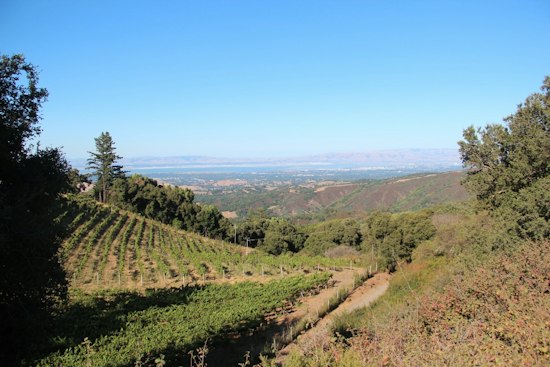 Fogarty Family's 41-Acre Portola Valley Vineyard Estate Sells for $11M