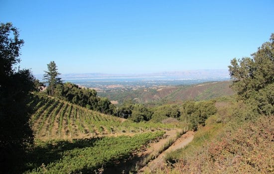 Fogarty Family's 41-Acre Portola Valley Vineyard Estate Sells for $11M