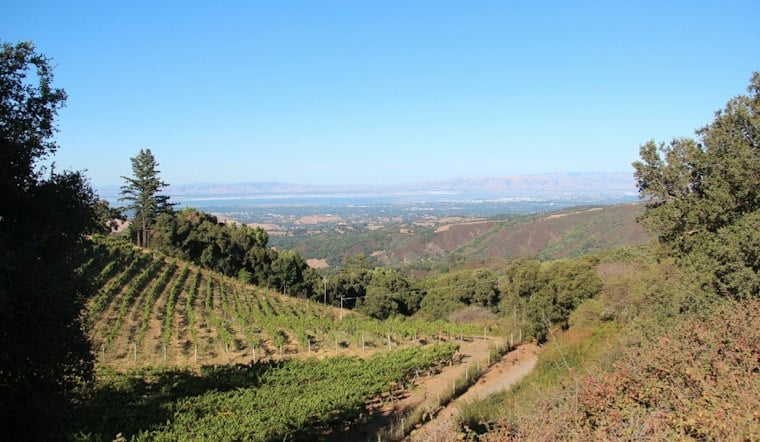 Fogarty Family's 41-Acre Portola Valley Vineyard Estate Sells for $11M