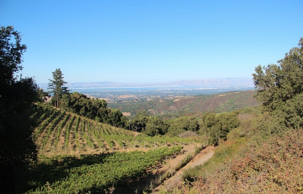 Fogarty Family's 41-Acre Portola Valley Vineyard Estate Sells for $11M