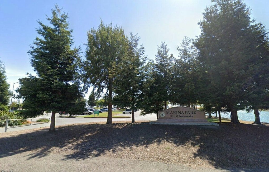 Former Petaluma Principal Patrick Daly Must Face Jury in Credit Card Fraud Case