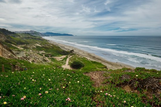 Fort Funston Cliff Rescue Underway for Two Adults, Two Dogs Stranded on Bluff