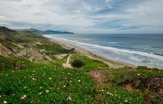 Fort Funston Cliff Rescue Underway for Two Adults, Two Dogs Stranded on Bluff