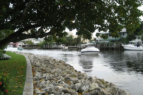Fort Lauderdale Divers Pull Body From New River, Homicide Unit Takes Over