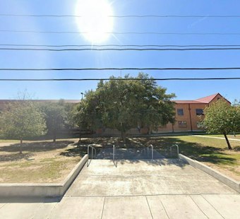 Fox Crashes Through LEE High School Cafeteria Ceiling During Lunch in San Antonio