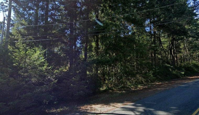 Fox Island Christmas Tree Farm Becomes $1.6M Gated Home Community