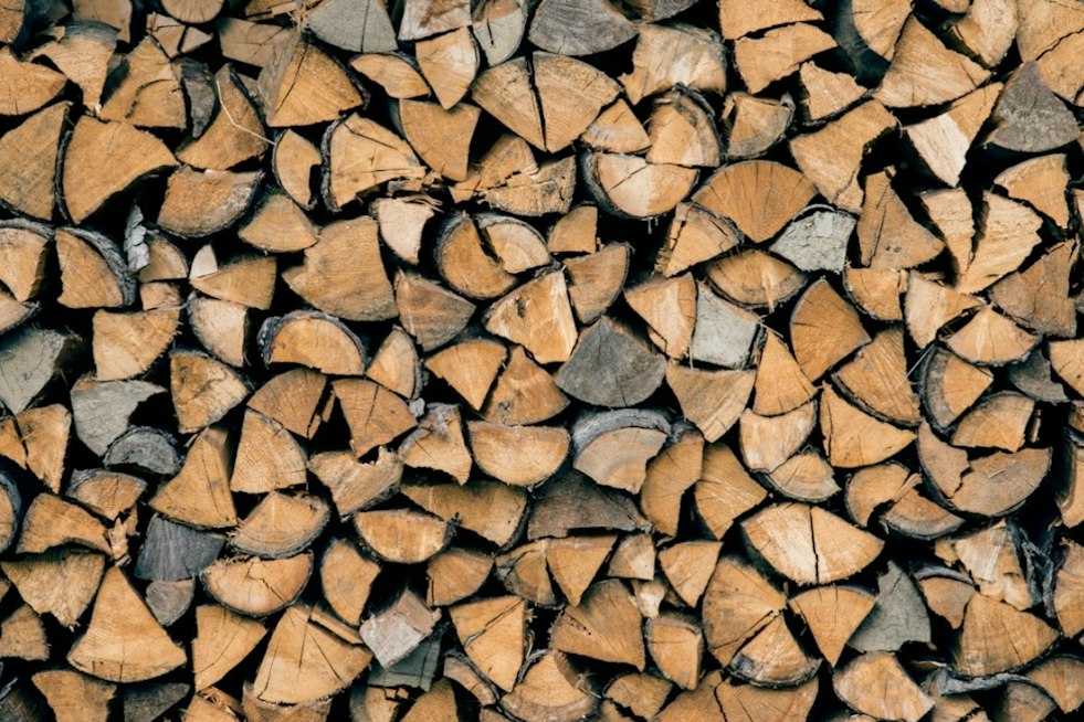Foxborough Scouts Found Just $1 in Honor-System Firewood Box — Then Neighbors Stepped Up