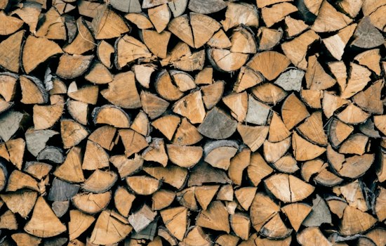 Foxborough Scouts Found Just $1 in Honor-System Firewood Box — Then Neighbors Stepped Up