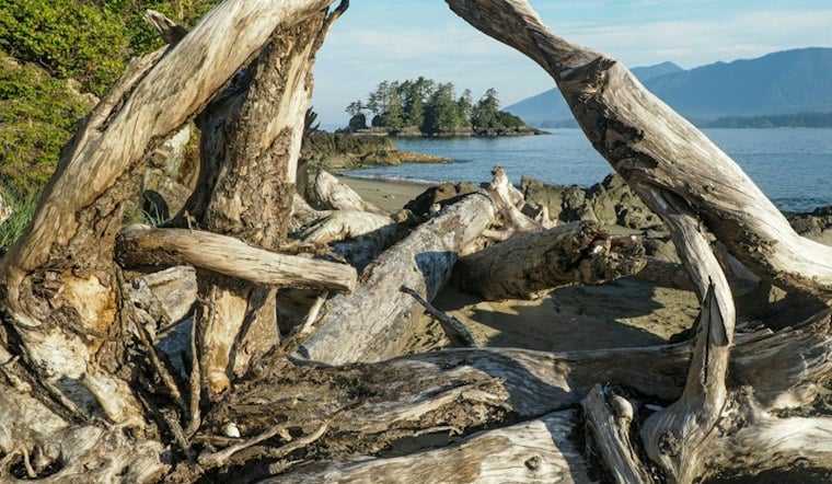 Georgetown County's Last Big Oceanfront Tract Headed for Conservation, Not 3,400 Homes