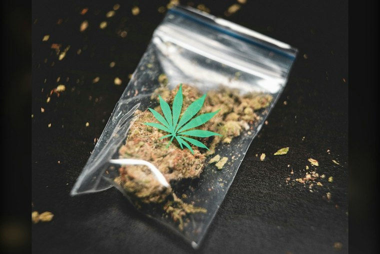 Georgia Patients Could Get Medical Cannabis Delivered to Their Door by Oct. 28