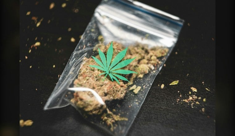 Georgia Patients Could Get Medical Cannabis Delivered to Their Door by Oct. 28
