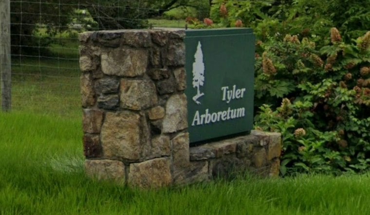 Giant Steel Roots Rise at Media's Tyler Arboretum in Artist's Biggest Show Yet