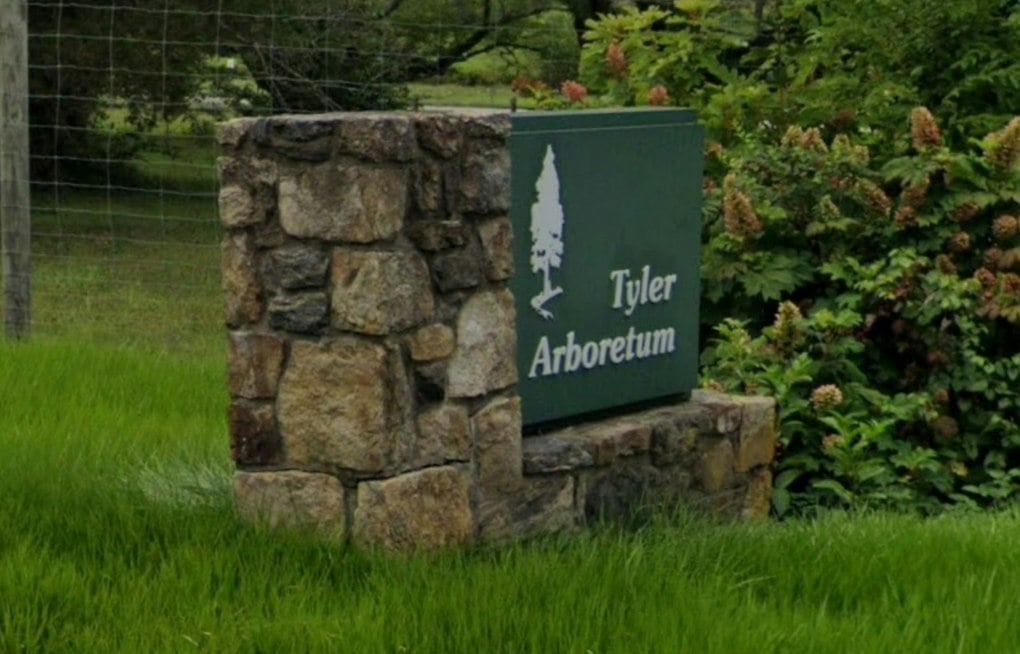 Giant Steel Roots Rise at Media's Tyler Arboretum in Artist's Biggest Show Yet