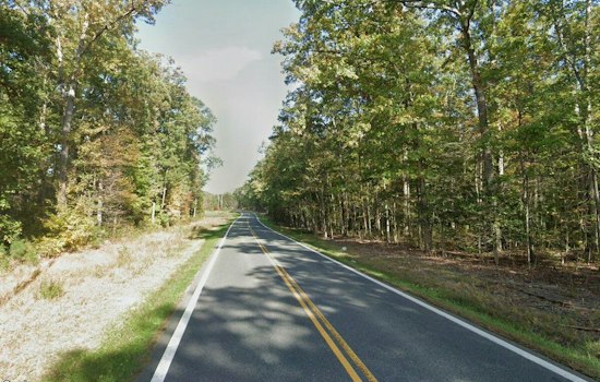 Glen Allen Man, 61, Dies After Car Veers Off Ashland Road Into Trees
