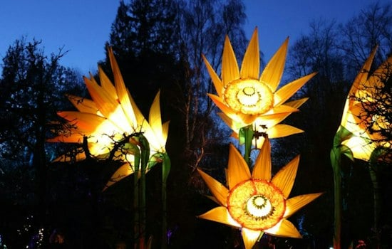 Glow at the Gardens Lights Up Denver With Giant Hand-Carved Pumpkin Sculptures
