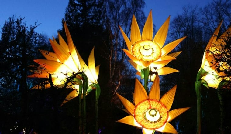 Glow at the Gardens Lights Up Denver With Giant Hand-Carved Pumpkin Sculptures