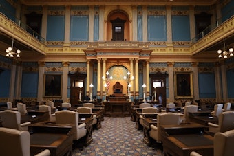 Grand Rapids-Area State Senate Race Could Affect Michigan Senate Control