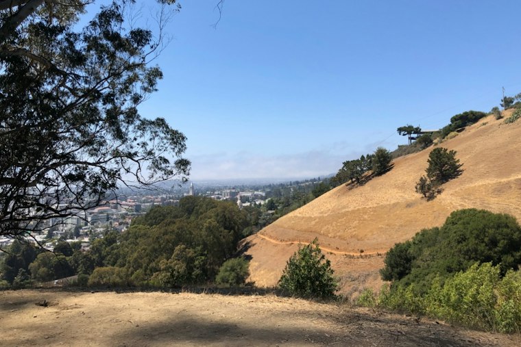 Grass Fire Hits Home Above UC Berkeley, Exposing Panoramic Hill's Single Road Out