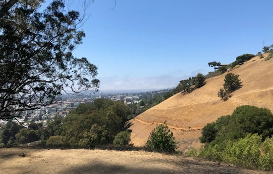 Grass Fire Hits Home Above UC Berkeley, Exposing Panoramic Hill's Single Road Out