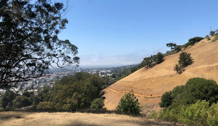 Grass Fire Hits Home Above UC Berkeley, Exposing Panoramic Hill's Single Road Out