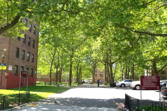 Gravesend Man, 24, Stabbed Under Armpit Near Marlboro Houses, Suspect Flees