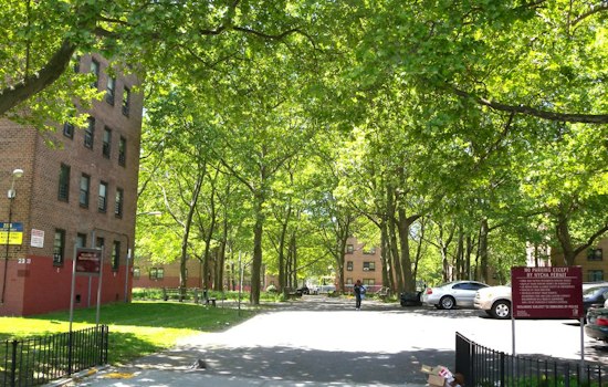 Gravesend Man, 24, Stabbed Under Armpit Near Marlboro Houses, Suspect Flees