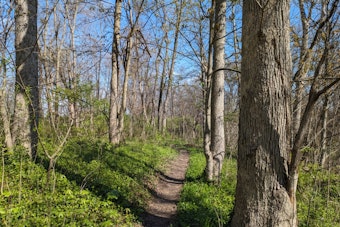 Green Township Rottweilers Maul Woman on Ohio Trail After Months of Warnings