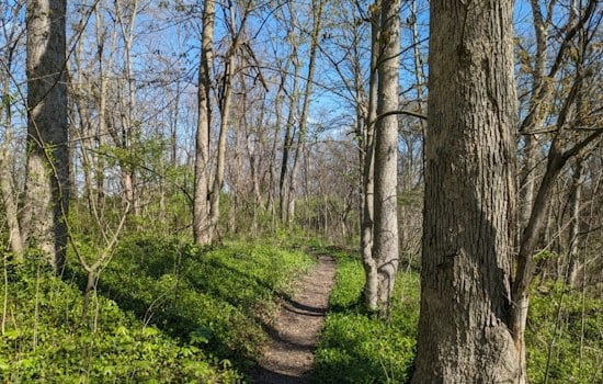 Green Township Rottweilers Maul Woman on Ohio Trail After Months of Warnings