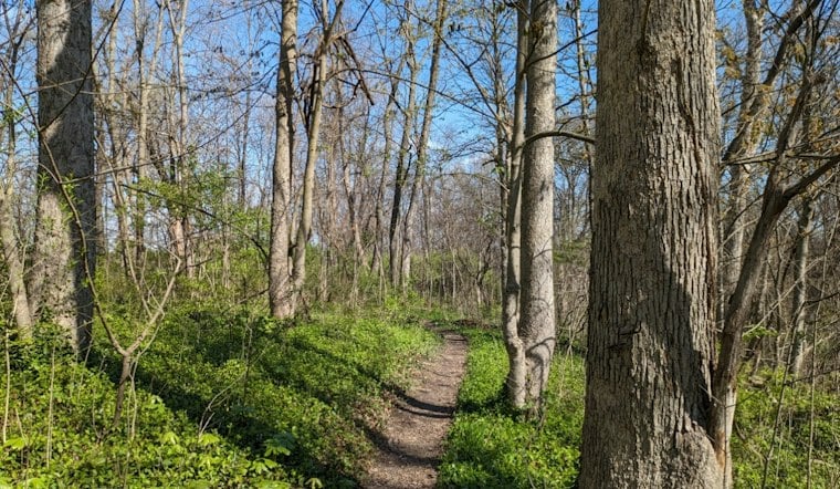 Green Township Rottweilers Maul Woman on Ohio Trail After Months of Warnings