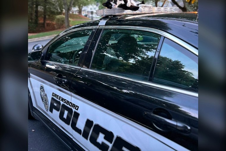 Greensboro Man, 33, Killed Near Bernau Avenue in City's 22nd Homicide