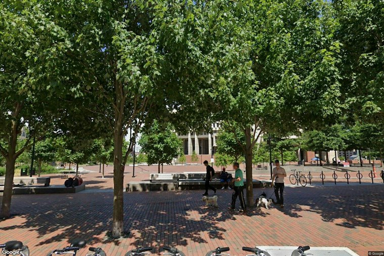 Greenville Basks in Sunny Thursday Before Brisk Weekend Cooldown