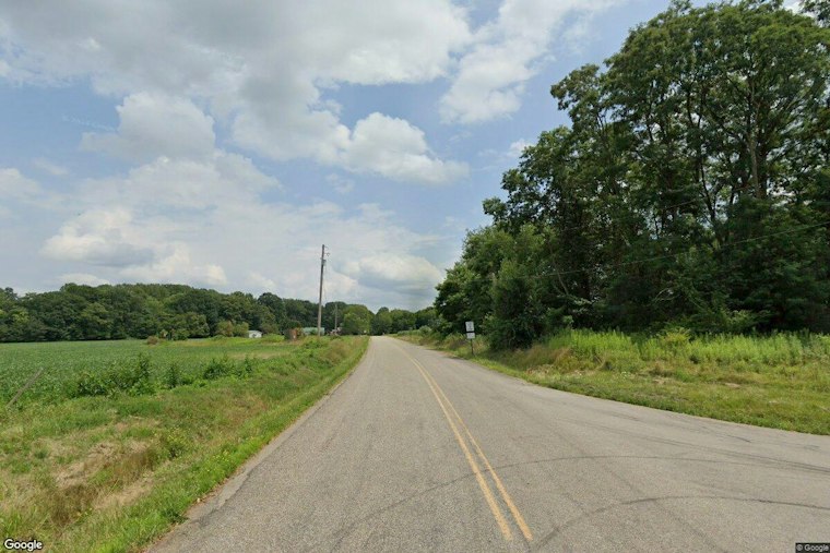 Greenville's StrayHaven Lands $450,000 State Grant Toward New Animal Shelter