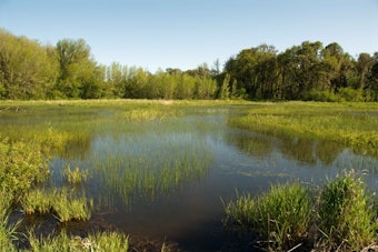 Groveland Gun Range Plan Near Green Swamp Draws Nearly 500 Petition Signatures