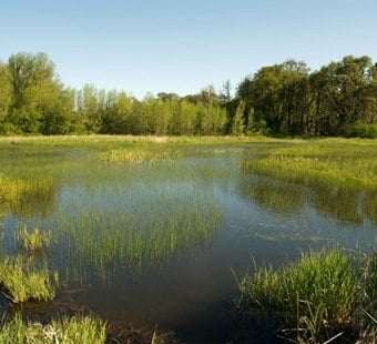 Groveland Gun Range Plan Near Green Swamp Draws Nearly 500 Petition Signatures