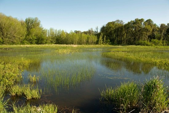 Groveland Gun Range Plan Near Green Swamp Draws Nearly 500 Petition Signatures