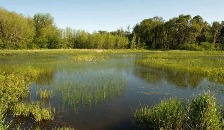 Groveland Gun Range Plan Near Green Swamp Draws Nearly 500 Petition Signatures