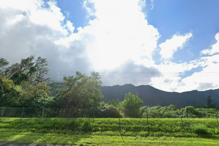Gusty Trade Winds, Fire Fears Rattle Honolulu’s Sunny Sunday