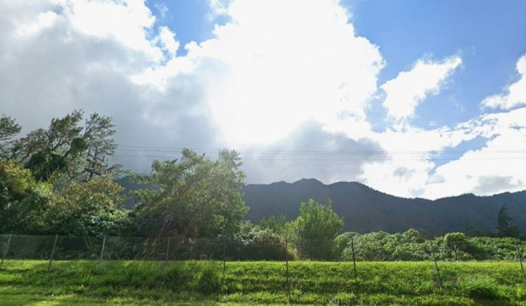 Gusty Trade Winds, Fire Fears Rattle Honolulu’s Sunny Sunday