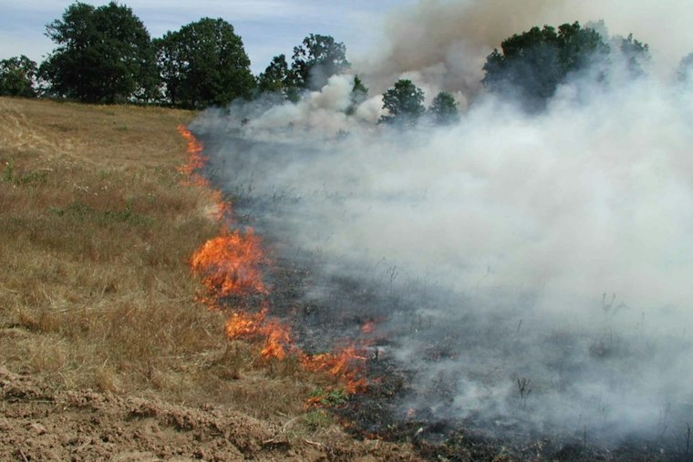 Gusty Winds Push Smoke Into Portland Homes After Vegetation Fire