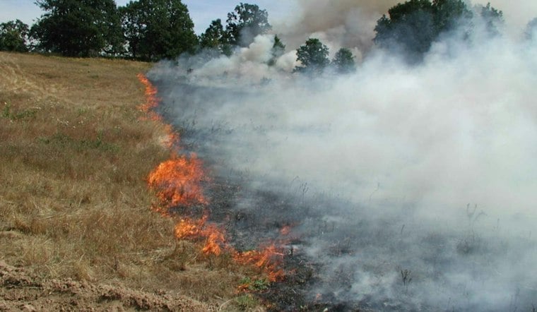 Gusty Winds Push Smoke Into Portland Homes After Vegetation Fire