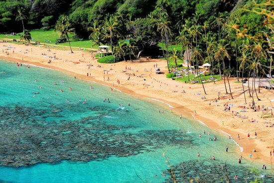 Hanauma Bay Lifeguards Revive Unresponsive Man After Three Rounds of CPR