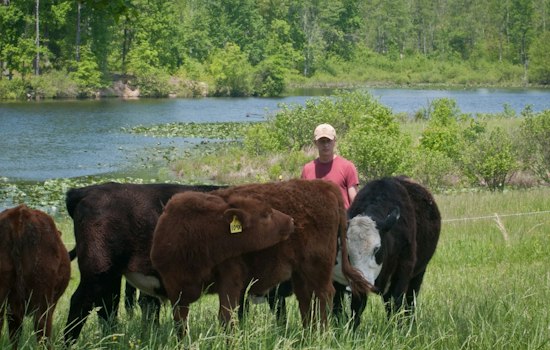 Hanover County Opens Its First Farm Tour, Highland Cows and Alpacas Included