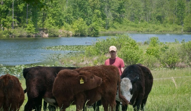 Hanover County Opens Its First Farm Tour, Highland Cows and Alpacas Included