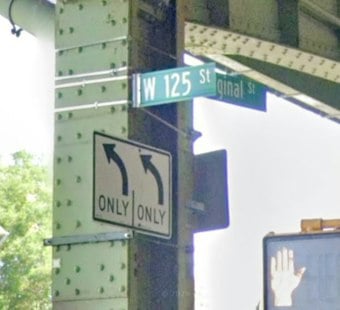 Harlem Cop Who Darted Ming the Tiger Pulls Suicidal Woman Off Hudson Pier