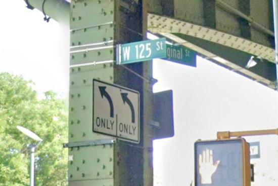 Harlem Cop Who Darted Ming the Tiger Pulls Suicidal Woman Off Hudson Pier