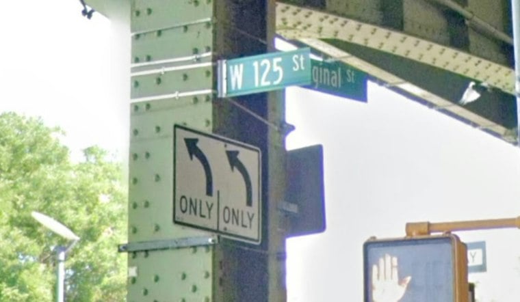 Harlem Cop Who Darted Ming the Tiger Pulls Suicidal Woman Off Hudson Pier