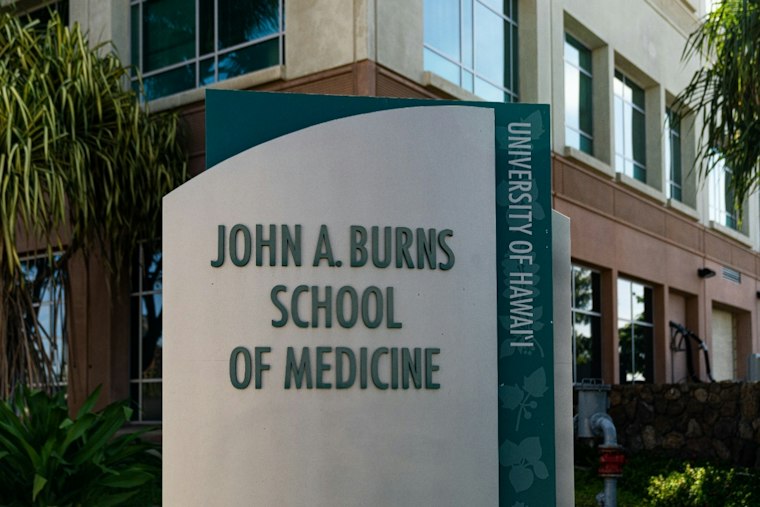 Hawaiʻi Virtual Outpatient Program Adds Statewide Option Amid 39% Adult Psychiatrist Shortage